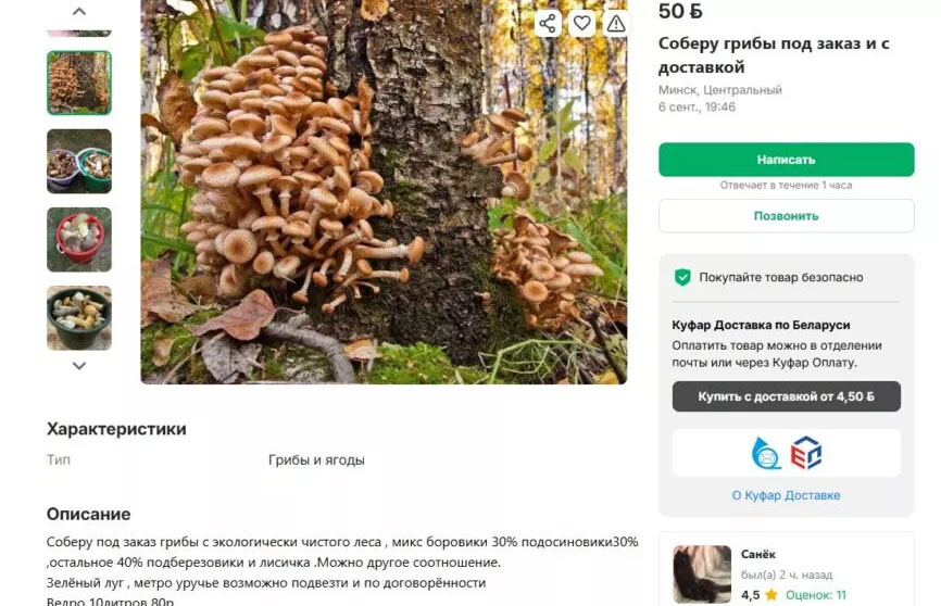 Где в Минске купить грибы и не переплатить: на рынке или по объявлениям